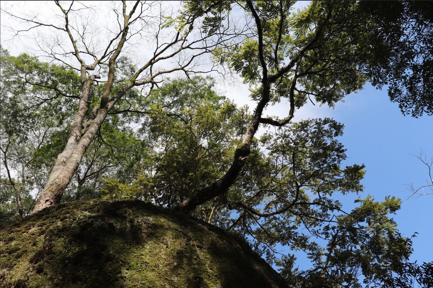 Urbia inaugura portaria para conectar o Parque Horto Florestal e a Floresta Cantareira 