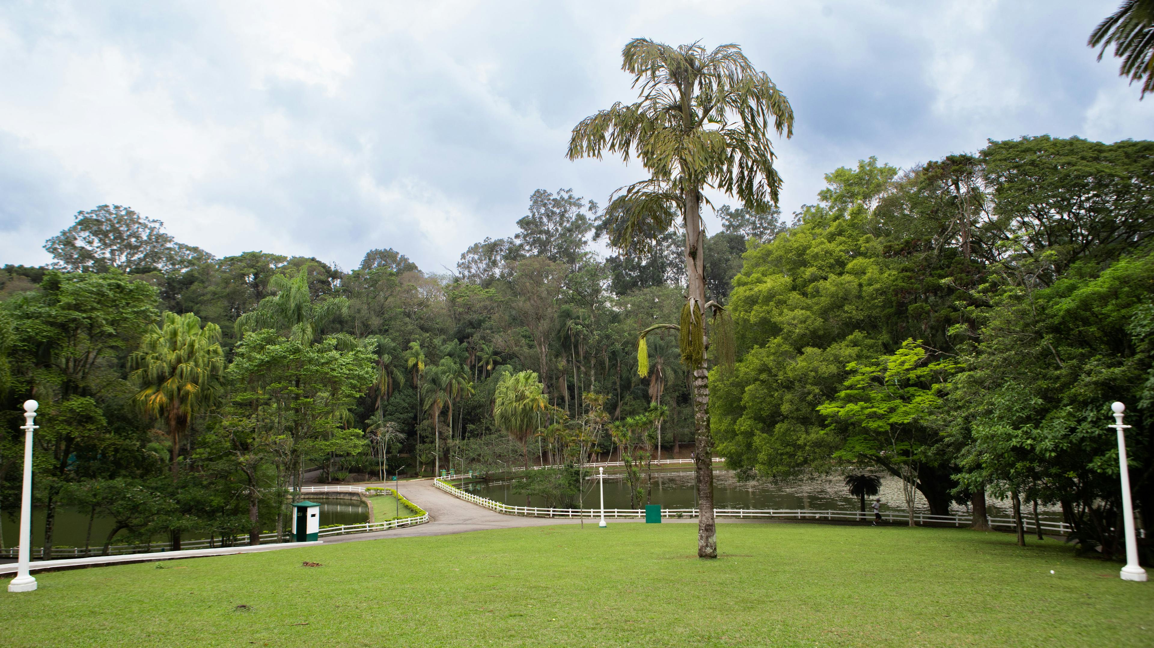 Agenda semanal da Urbia divulga atividades gratuitas no Parque Ibirapuera