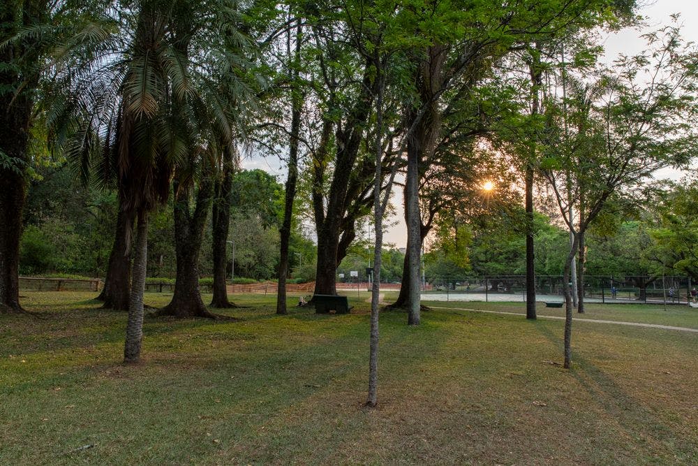 Parque Ibirapuera e Cânions Verdes são novos associados SINDEPAT