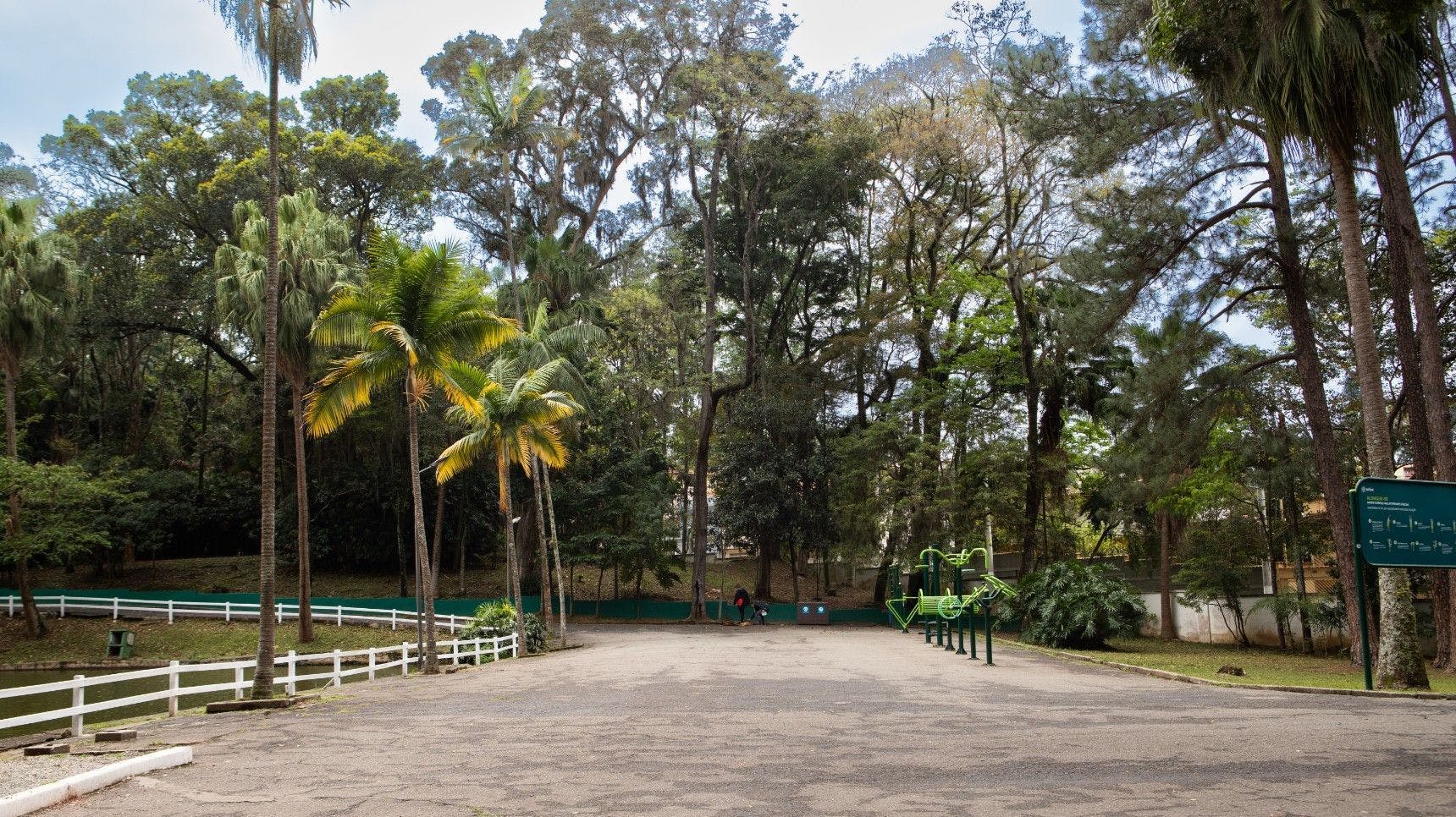 Parque Ibirapuera e Horto Florestal recebem eventos gratuitos em homenagem ao Setembro Amarelo 