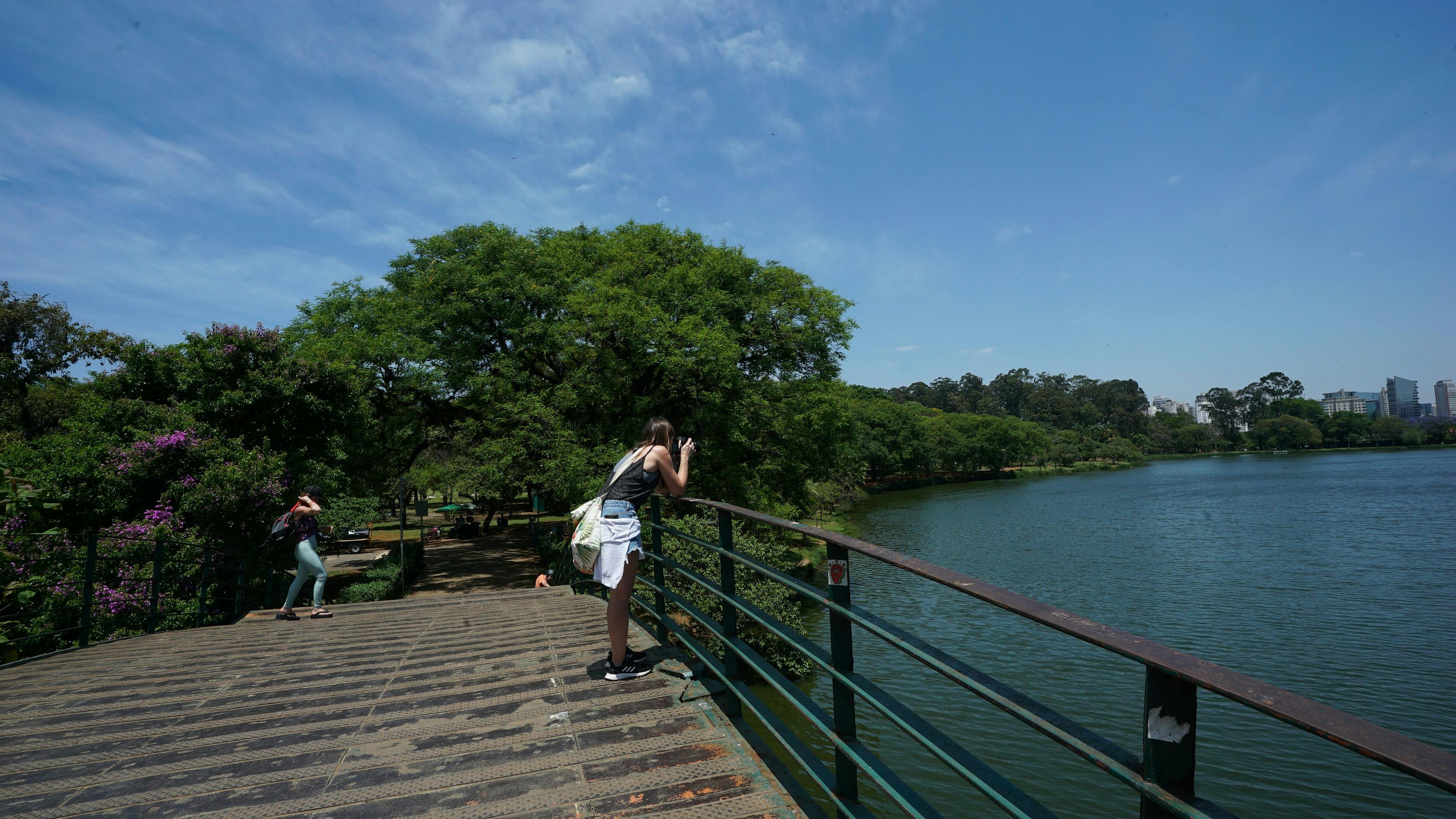 Urbia anuncia agenda semanal com festival no Parque Ibirapuera, aula de spinning no Planetário e programação gratuita do Outubro Rosa no Horto Florestal